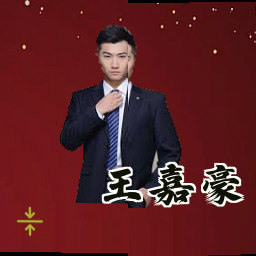 王嘉豪